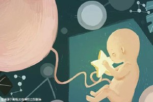 胚胎培养箱